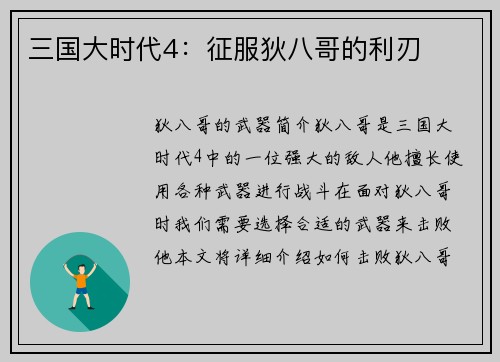 三国大时代4：征服狄八哥的利刃
